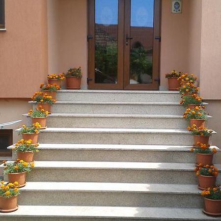 Pensiunea Damiris Baile Felix Exterior photo