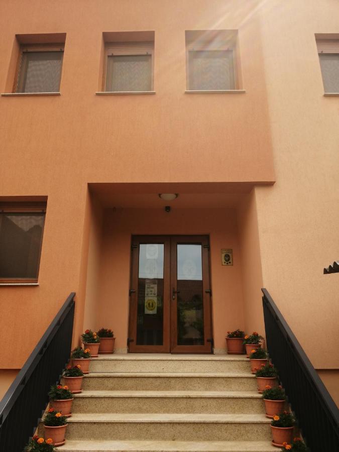 Pensiunea Damiris Baile Felix Exterior photo