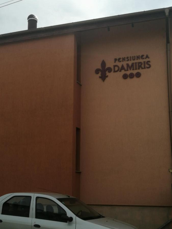 Pensiunea Damiris Baile Felix Exterior photo