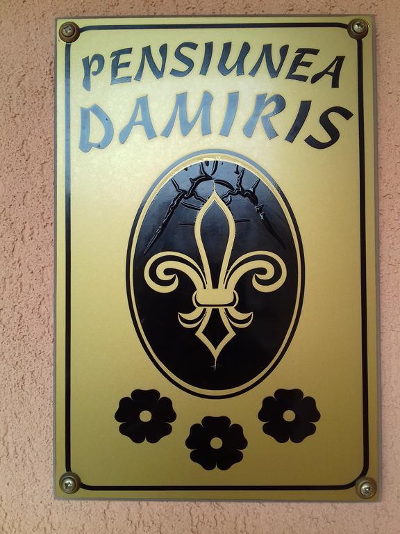 Pensiunea Damiris Baile Felix Exterior photo